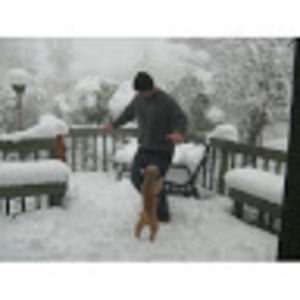 Meet your Posher, Pat